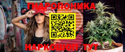 гашишное масло Сланцы